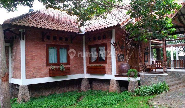 Dijual Rumah Joglo Kayu Jati di Tanah Baru Beji Depok 1