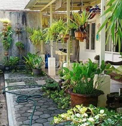 Rumah Tanah Luas Jual 1 Lantai Jatiwarna 2