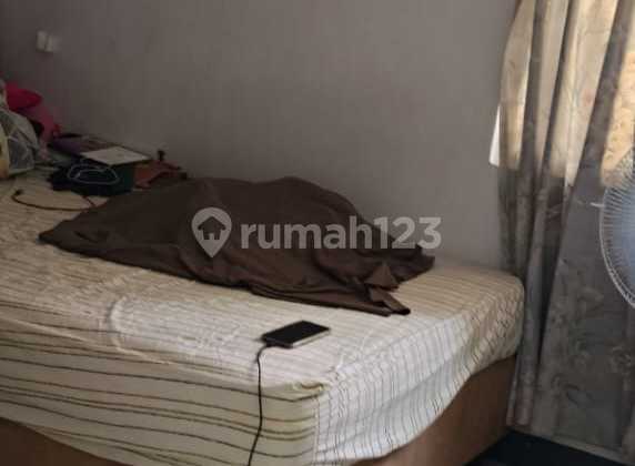 Di Jual Cepat Murah Rumah Taman Palem Lestaei 3.75 X 13 Rapi Siap Huni Di Jual Cepat Murah Rumah Taman Palem Lestaei 3.75 X 13 Rapi Siap Huni