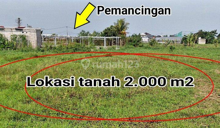 DiJual TANAH Murah jalan Desa Ciherang, Dramaga, Kab. Bogor area DRAMAGA KABUPATEN BOGOR. 2