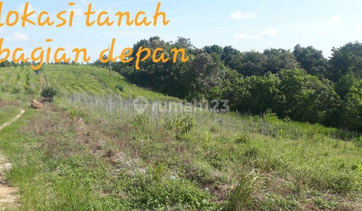 Dijual tanah di Kecamatan Penanjam di Kalimantan Timur /IKN
 2