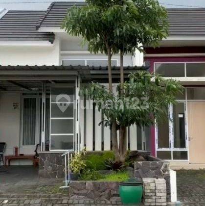 Disewakan Rumah Daerah Sawojajar New City Pusat Kota Malang 1