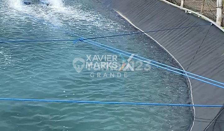Dijual Lahan Luas Tambak Udang Di Kraksaan, Kota Probolinggo 2
