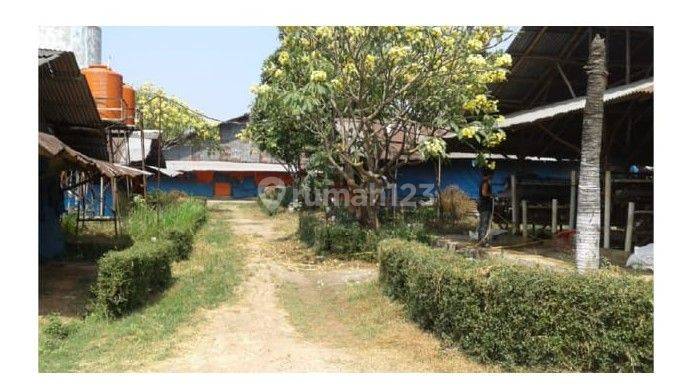 Dijual Tanah 5.6 Hektar Eks Peternakan Ayam Kawasan Cimuning, Bekasi 2