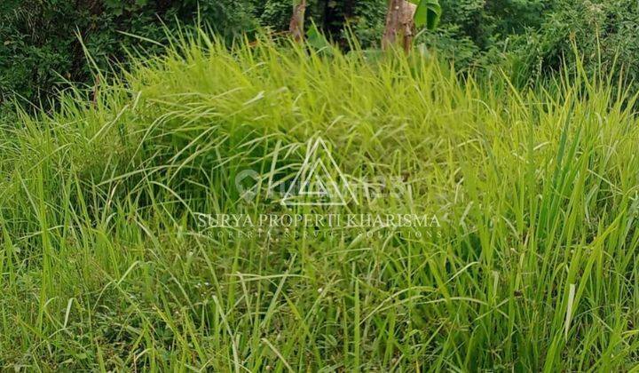 Tanah Jalan Perhubungan Percut Sei Tuan  2
