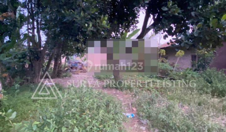 Tanah Jalan Lapangan 2 Dusun 2 7 Padi Percut Sei Tuan  2