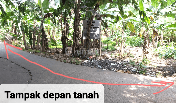 Tanah Kavling Hidden Gem Siap Bangun di Cibogo, Cisauk 2