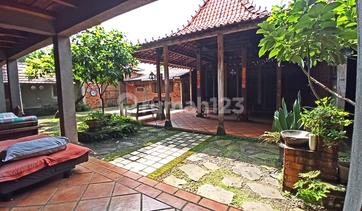 Rumah Langka, Hidden Gem di Kencana Loka Bsd Rumah Langka, Hidden Gem di Kencana Loka Bsd