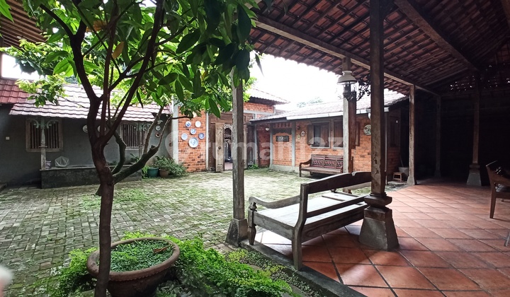 Rumah Langka, Hidden Gem di Kencana Loka Bsd 2
