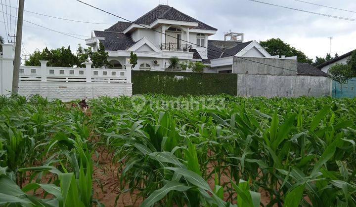 Kavling Premium di Karang Endah, Lampung Tengah, cocok untuk investor 2