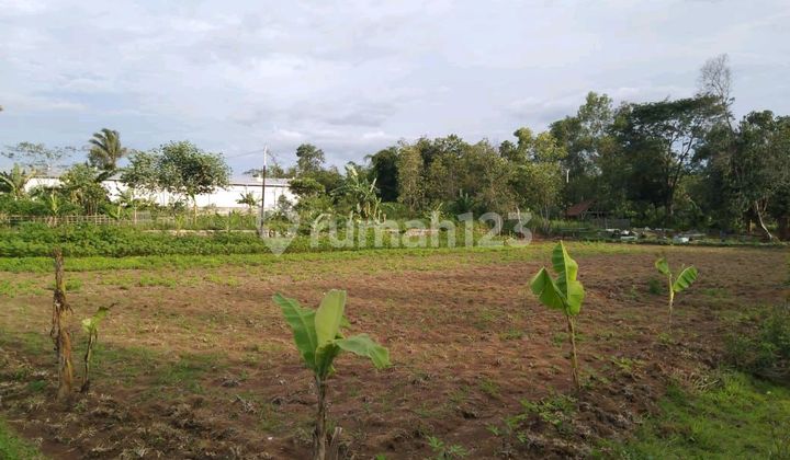 For Sale Vacant Land on Main Road, Desa Taban, Jambe District, Tangerang Regency
