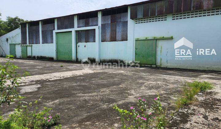 Disewa Murah Gudang Bagus SHM Dekat Pucangsawit, Surakarta 4