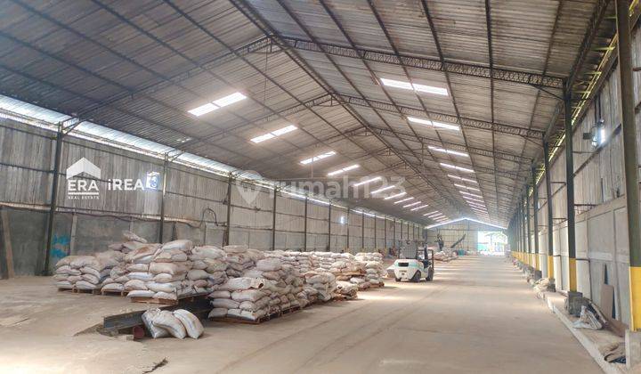 Disewakan Cepat Gudang SHM Bagus Dan Luas di Kendal, Kaliwungu 8