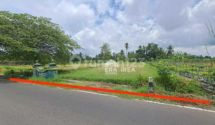 Tanah Murah Strategis Ngaglik Sleman Dekat Kampus Uii Tanah Murah Strategis Ngaglik Sleman Dekat Kampus Uii