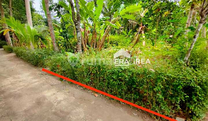 Tanah Murah Bambanglipuro Bantul Akses Mobil Tanah Murah Bambanglipuro Bantul Akses Mobil