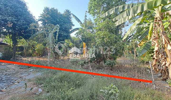 Cheap Strategic Land in Rejowinangun Kotagede Near Gembiraloka Zoo Cheap Strategic Land in Rejowinangun Kotagede Near Gembiraloka Zoo