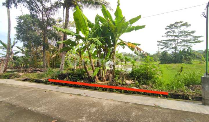 Cheap Land Margoluwih Sayegan Sleman Near Godean Market Cheap Land Margoluwih Sayegan Sleman Near Godean Market