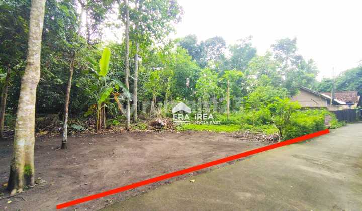 Tanah Murah Meriah Margoluwih Sayegan Sleman Dekat Pasar Godean Tanah Murah Meriah Margoluwih Sayegan Sleman Dekat Pasar Godean