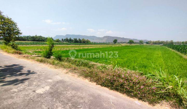 Tanah Strategis Sanggrahan Prambanan Klaten 2