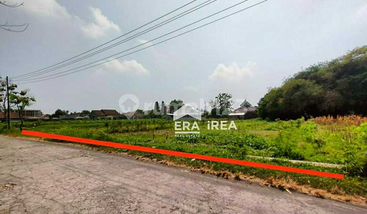 Tanah Murah Purwomartani Kalasan Sleman Dekat Pasar Sleman