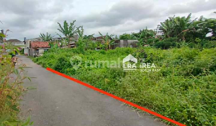 Tanah Murah Kragilan Mlati Sleman Dekat Sindu Kusuma Edupark Tanah Murah Kragilan Mlati Sleman Dekat Sindu Kusuma Edupark