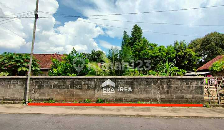 Tanah Murah Margoagung Sayegan Sleman Dekat Pasar Sleman Tanah Murah Margoagung Sayegan Sleman Dekat Pasar Sleman