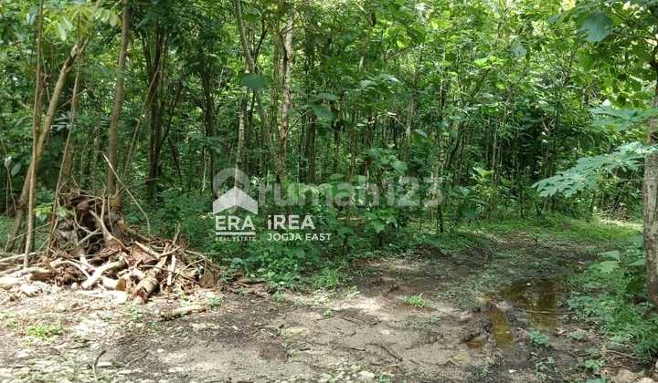 Cheap Land Sendangsari Pajangan Bantul Culinary Area Ingkung