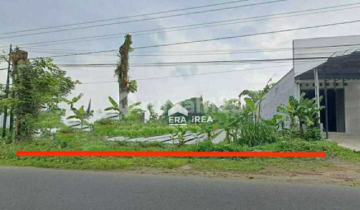 Cheap Land for Sale in Mlati Sleman Near Sleman Government Office Cheap Land for Sale in Mlati Sleman Near Sleman Government Office