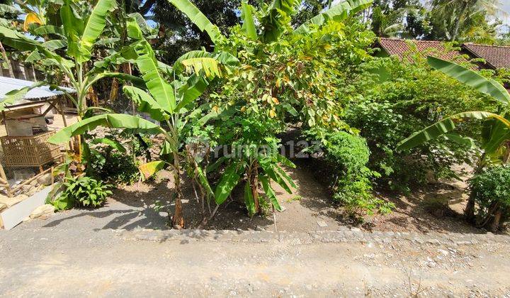 Tanah Jogja Dijual Dekat Alun-Alun Wates 2