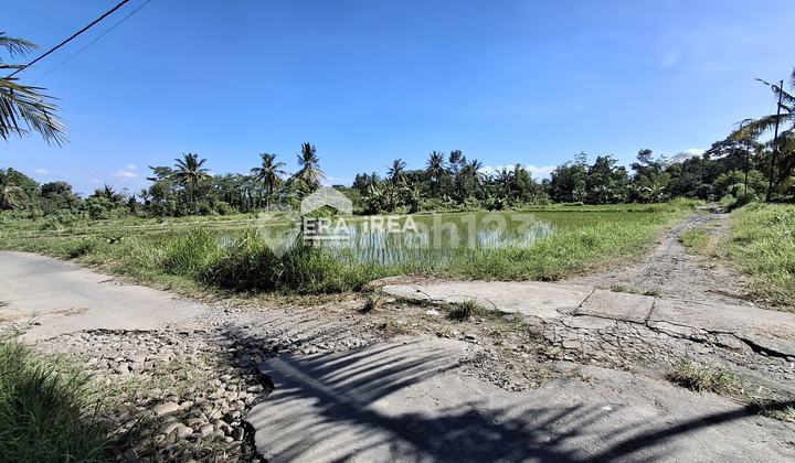 Tanah Jogja Murah Dekat Sleman City Hall