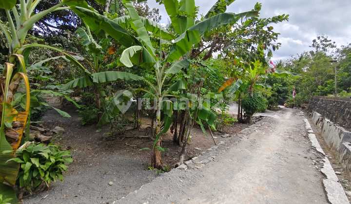 Tanah Jogja Dijual Dekat Alun-Alun Wates 1