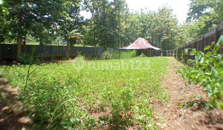 Tanah Jogja Murah Dekat Wisata Goa Pindul