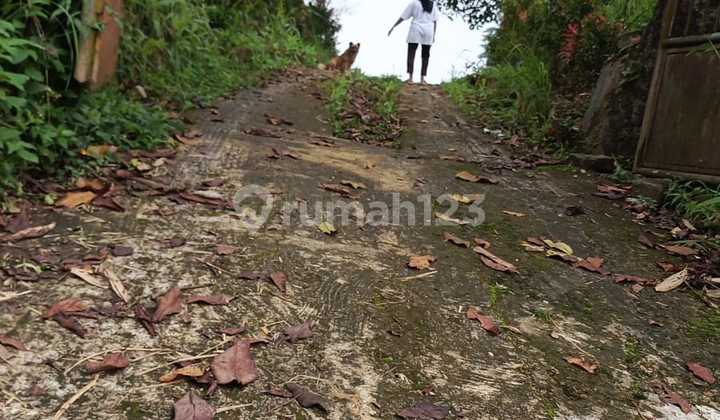 Tanah di Jl. Megamendung - Ciawi, Sukaresmi, Kec. Megamendung, Kabupaten Bogor, Jawa Barat, Cipayung Tanah di Jl. Megamendung - Ciawi, Sukaresmi, Kec. Megamendung, Kabupaten Bogor, Jawa Barat, Cipayung