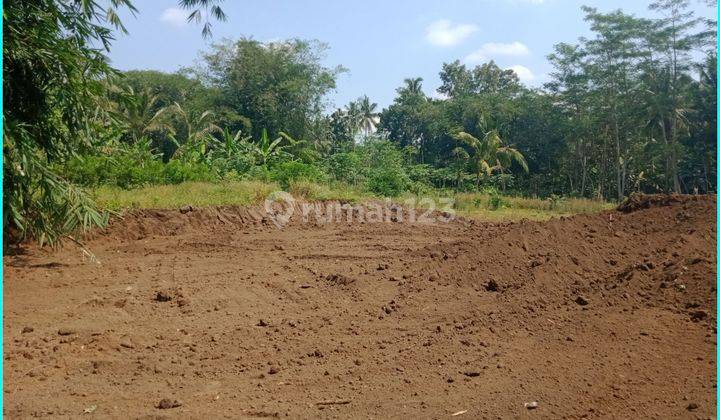 Tanah Terbaik 3 Menit Samsat Mungkid, Shm p 1