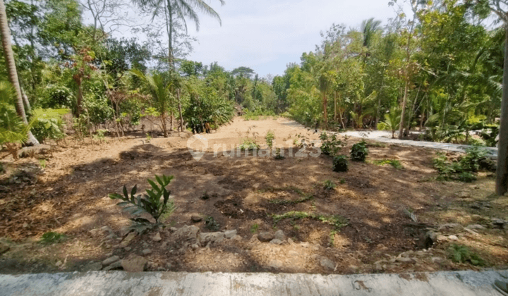 Dijual Tanah Kulonprogo, Tanah Panjatan Dekat Uny Wates  1