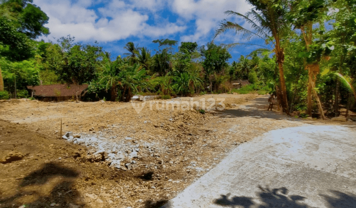 Dijual Tanah Kulonprogo, Tanah Panjatan Dekat Uny Wates  6