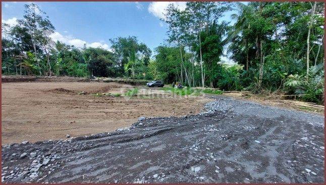 Tanah Kavling Murah Di Magelang Belakang Samsat Mungkid 4