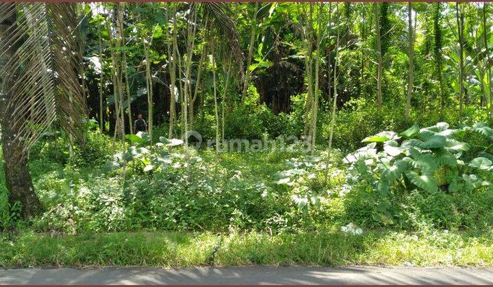 Kawasan Wisata Candi Borobudur Jual Tanah Murah Magelang 4