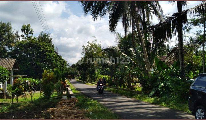 Tanah Murah Mangku Aspal Di Borobudur Magelang 3