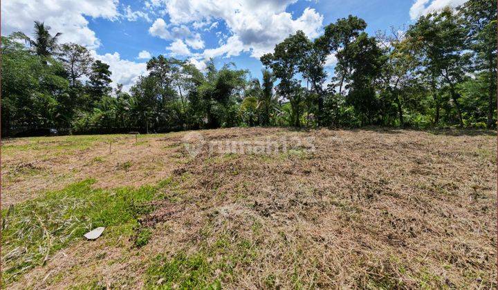 Jual Tanah Murah Magelang, Di Tempuran Dekat Pasar 1