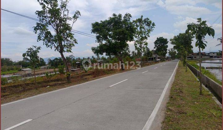 Tanah Kavling Ruko Mangku Jalan Raya Blabak Boyolali, Magelang 1