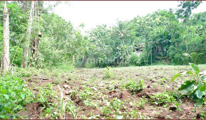 Tanah Murah Imogiri Bantul, Luas 150m2 SHM 3
