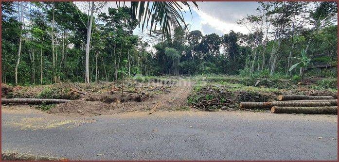 Tanah Murah 50 Jutaan Di Manisrenggo, Utara Candi Prambanan 3