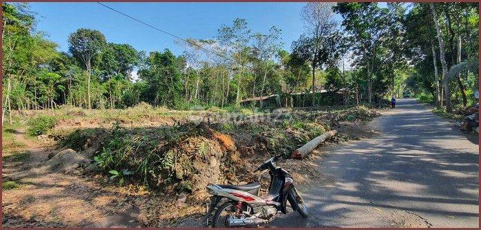 Tanah Murah 50 Jutaan Di Manisrenggo, Utara Candi Prambanan 5