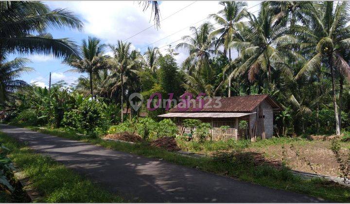 Kavling Murah Magelang Dekat Kawasan Candi Borobudur 1