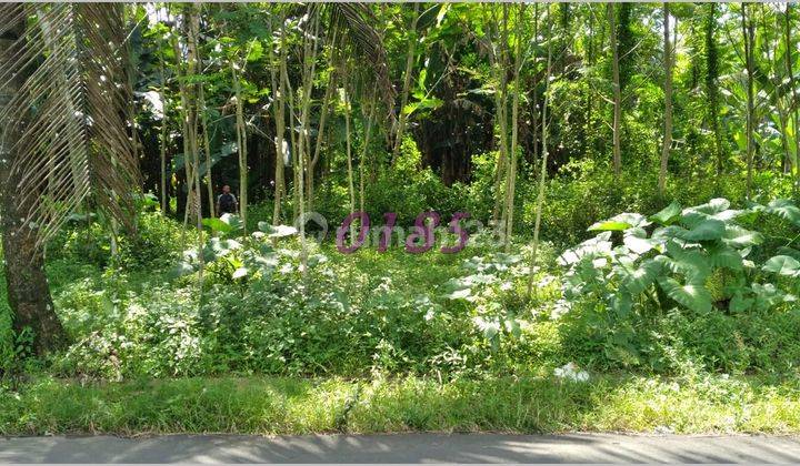 Kavling Murah Magelang Dekat Kawasan Candi Borobudur 2