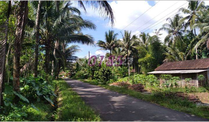 Kavling Murah Magelang Dekat Kawasan Candi Borobudur 5