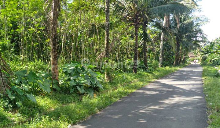 Tanah Kavling Murah Kawasan Borobudur Luas 100 An M2 3