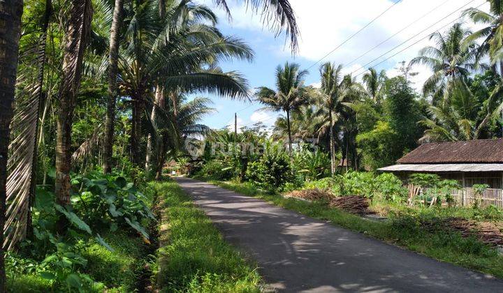 Tanah Kavling Murah Kawasan Borobudur Luas 100 An M2 4