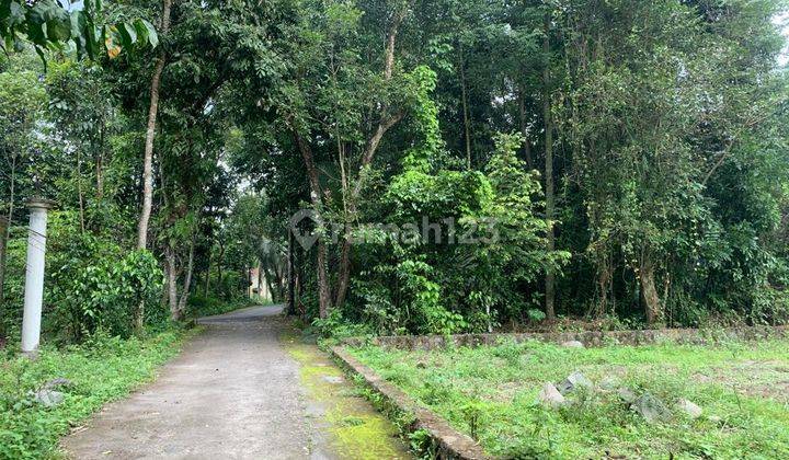 Tanah Murah Klaten Sertifikat Pekarangan Dekat Pasar Klewer 3